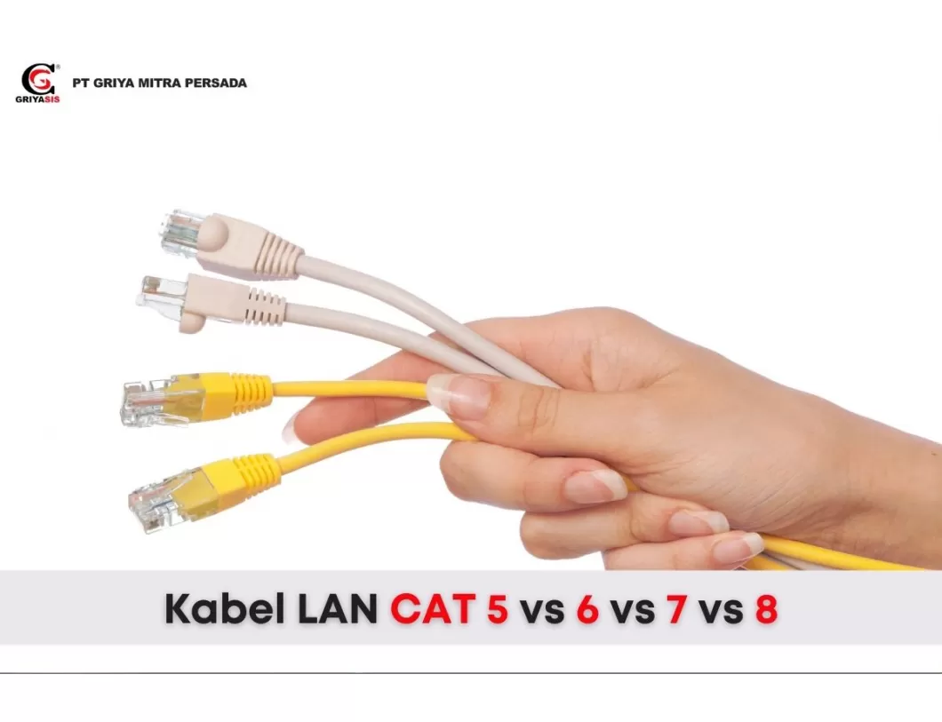 Kabel LAN CAT 5, 6, 7, dan 8: Mana yang Harus Dipilih?