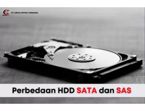 Perbedaan HDD SATA dan SAS, Mana Yang Lebih Baik?