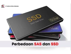 Perbedaan antara SAS dan SSD