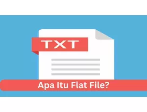 Flat File Adalah: Definisi, Kelebihan dan Karakteristiknya