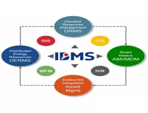 Integrated Database Management System: Pengertian, Peran dan Tujuannya