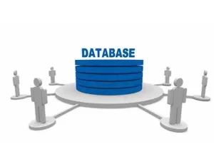 Manfaat Database Bagi Perusahaan: Pengertian dan Perannya 