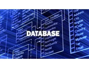 Bagaimana Cara Mengamankan Database? Simak Selengkapnya