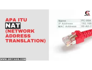 Apa Itu NAT (Network Address Translation)?