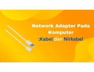 Network Adapter: Arti, Jenis, dan Kegunaannya
