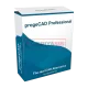 ProgeCAD Professional Upgrade Dari 2021