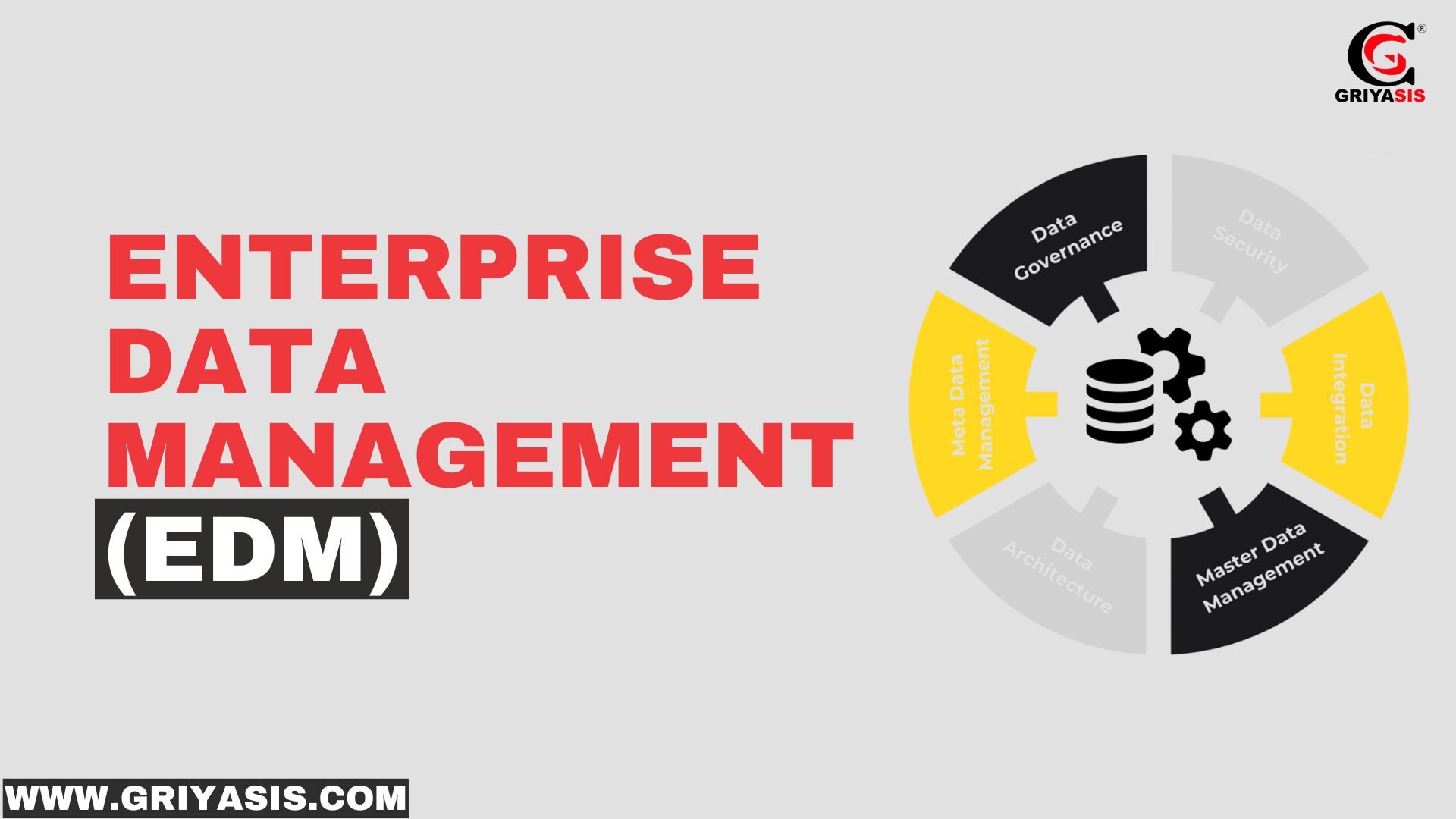 Enterprise Data Management (EDM)