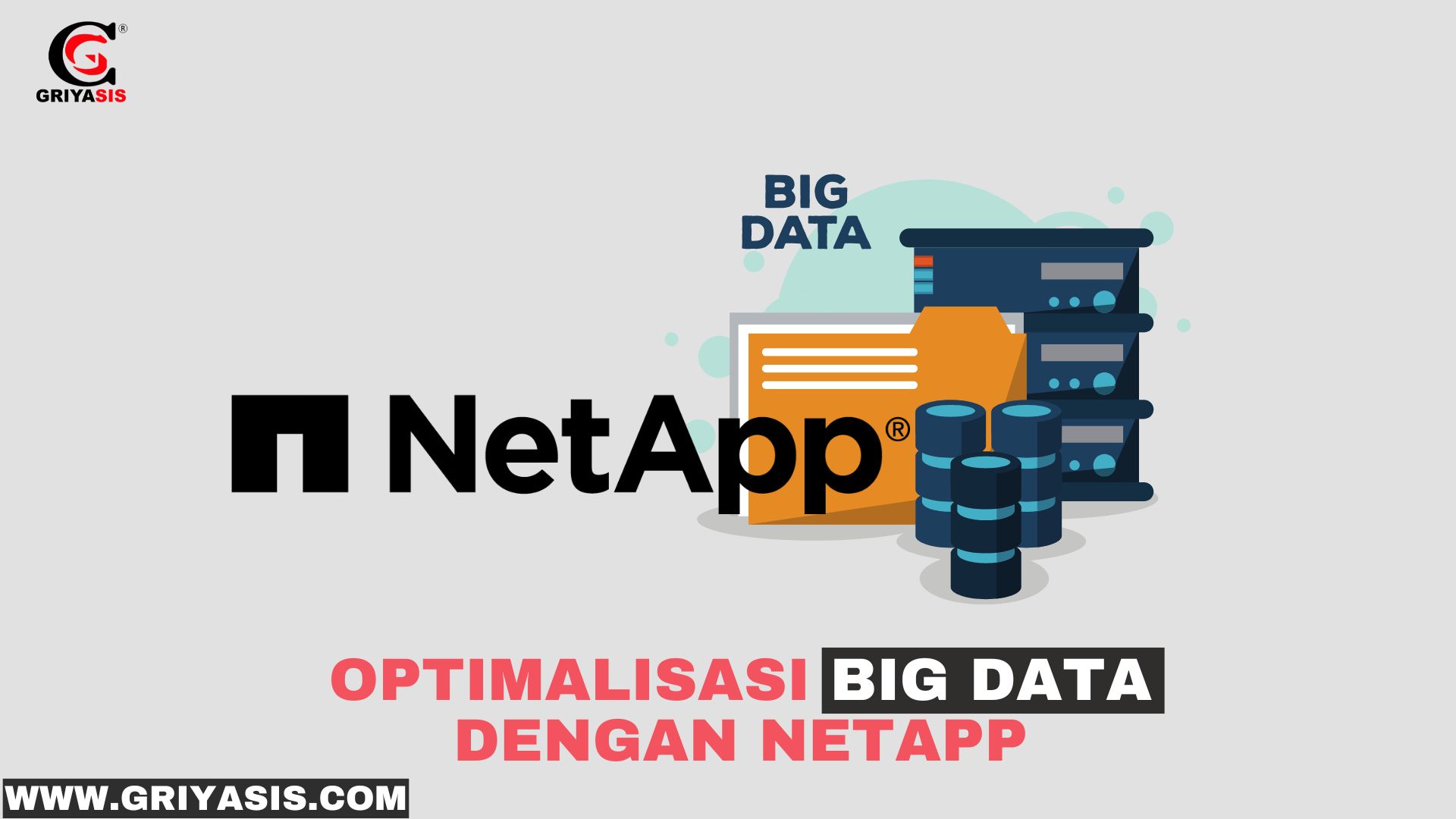 Optimalisasi Big Data dengan NetApp