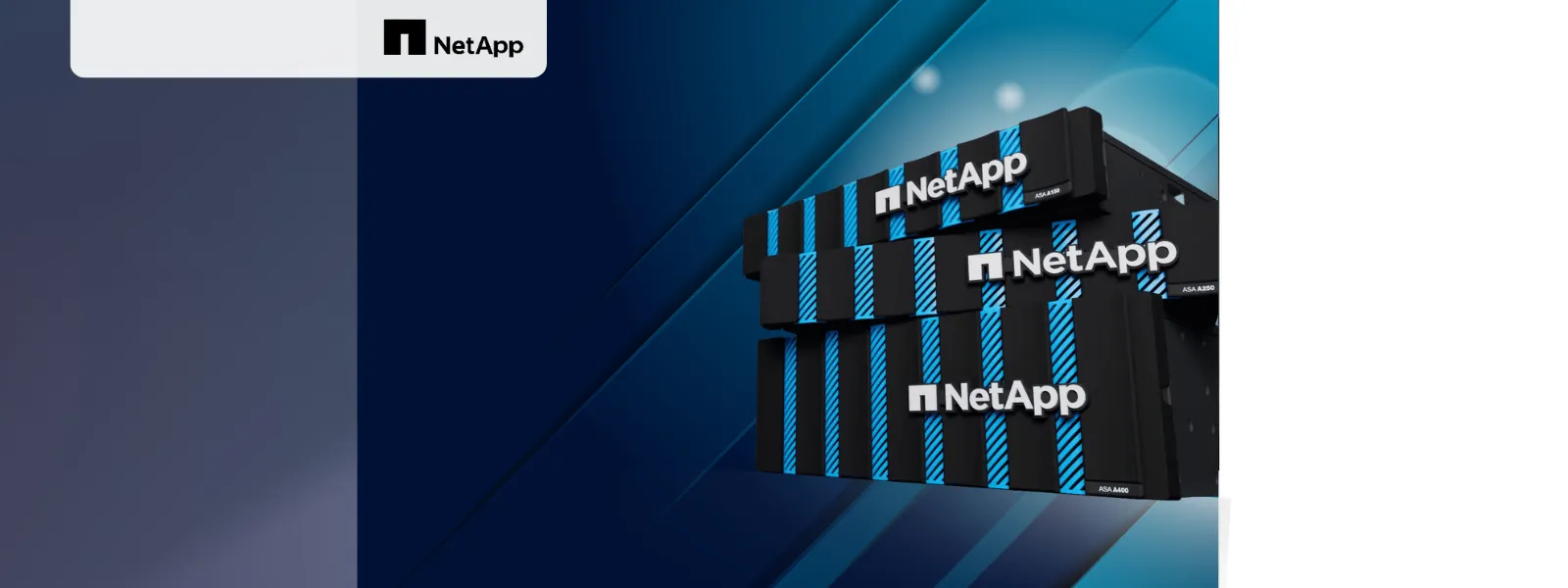 Hero Banner Netapp Griyasis